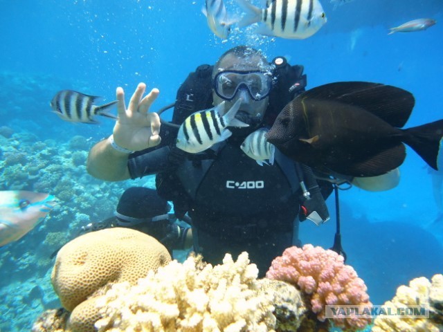 Может аквасреду введем?