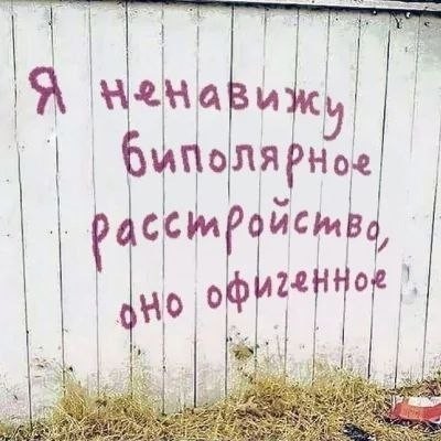 Веселые картинки в маленькую пятницу (10.06)