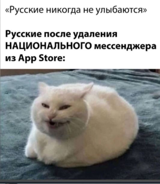 Приложение государственного мессенджера Макс стало недоступно в Google Play