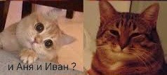 Магазин платьев хейтят за увольнение сотрудницы в день смерти дедушки