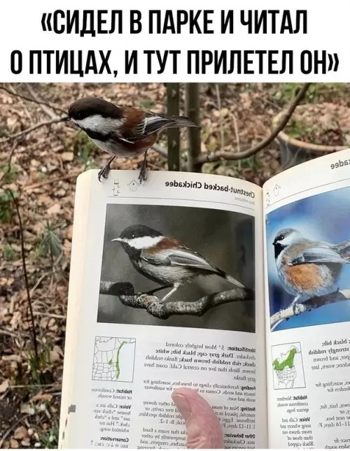 Так себе картинки 10.09.26