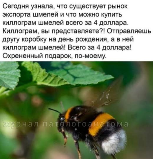 Картинки на среду