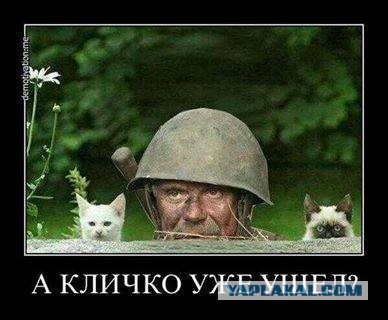 Майдан 2013, Киев