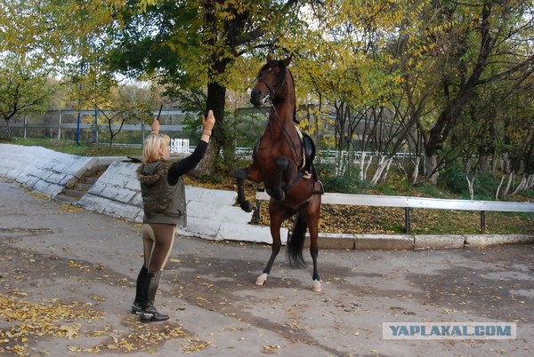 Запилила подарочег.