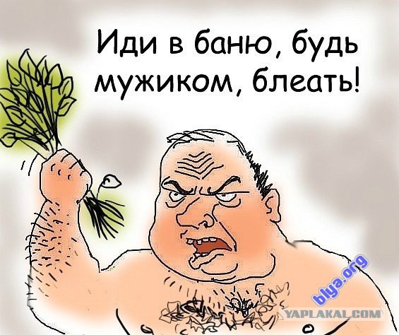 Жириновский о немецких банях и запрещенных сайтах