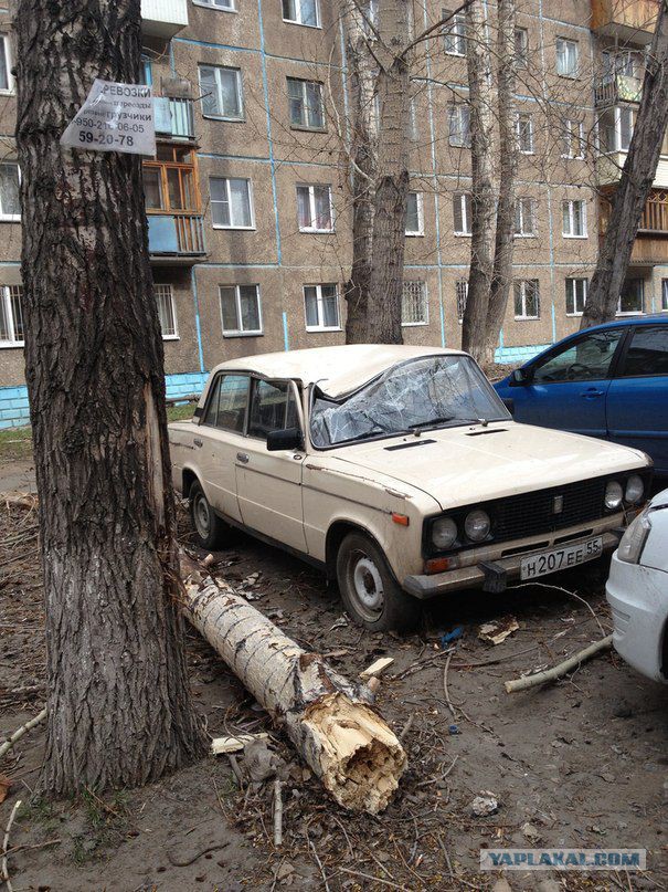 В Омске шторм!