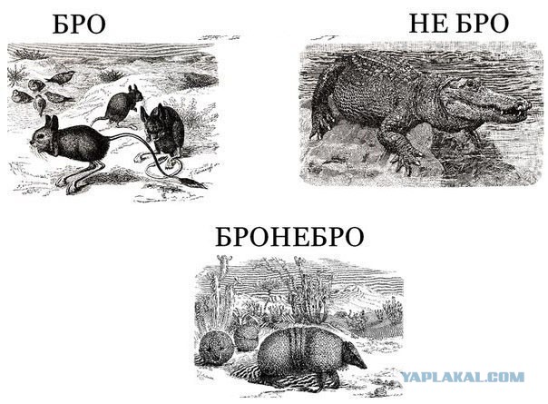 Картинки с просторов интернета