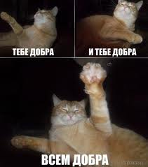 Когда вы плюсуeтe тему в платине