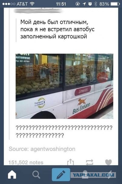 Немного позитива на пятницу