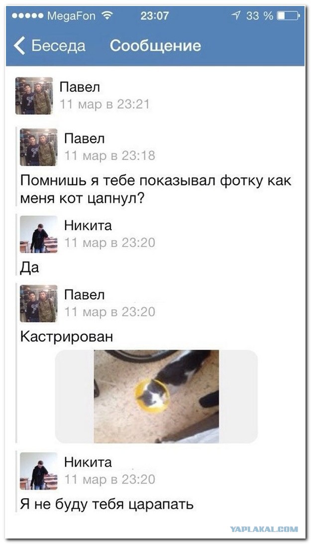 Комментарии из Соцсетей