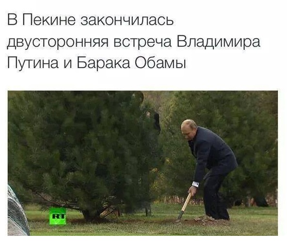 Смешные комментарии из социальных сетей 11.11.2014