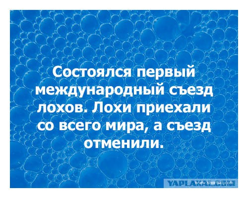 Картинки из этих ваших интернетов