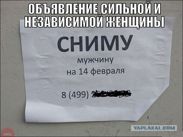 Весёлое из сети