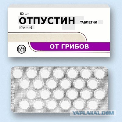 Что мы говорим