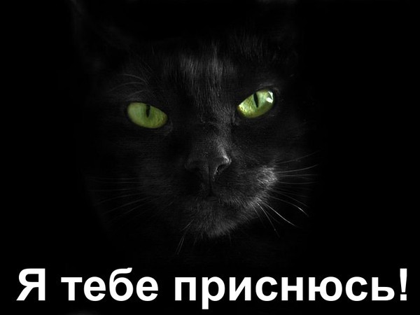 Зверский позитив