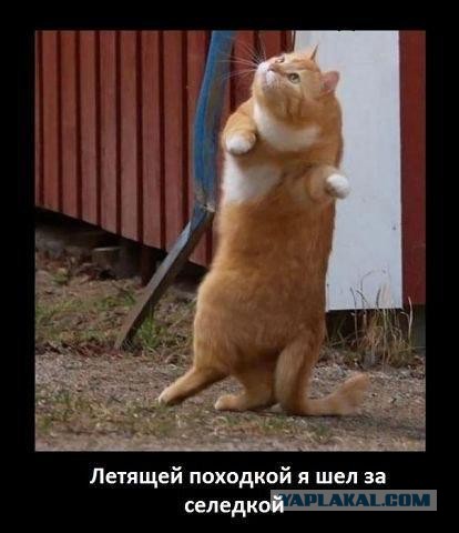 Прикольные картинки на понедельник