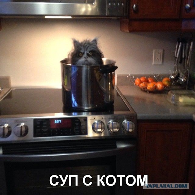 Картинки 12.05.2015