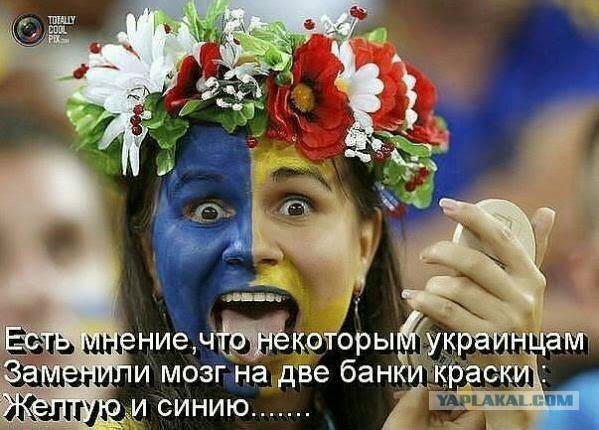 Крым "вежливая" база...