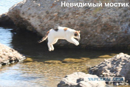 Гравитации НЕТ!