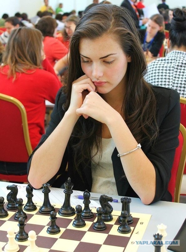 Шахматные мошенники. О спорте, науке и политике