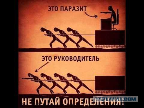Самодурства начальников