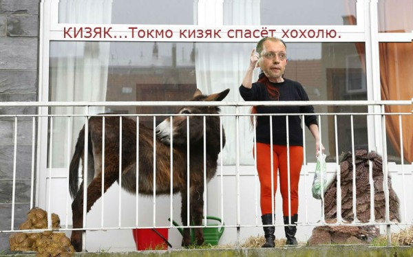 10 политических картинок часть 11