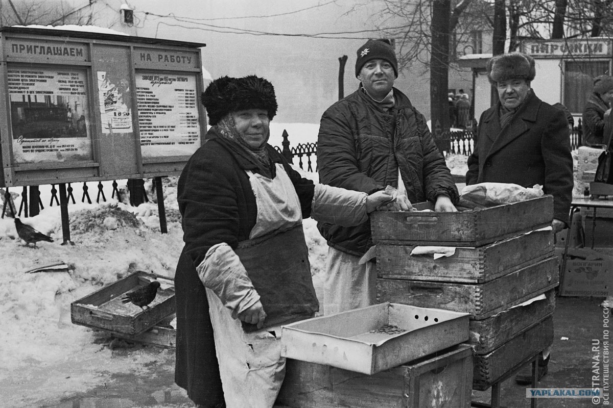 Советские чипсы как выглядели. Смотреть фото Советские чипсы как выглядели. Смотреть картинку Советские чипсы как выглядели. Картинка про Советские чипсы как выглядели. Фото Советские чипсы как выглядели