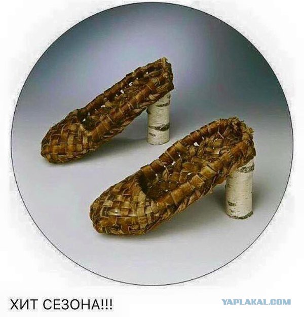 "Маасквички" возвращаются домой