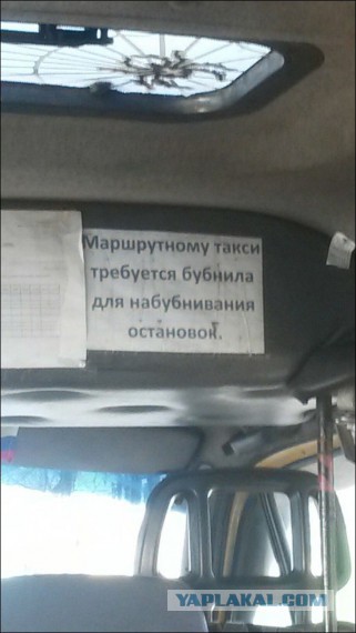 Весёлые картинки