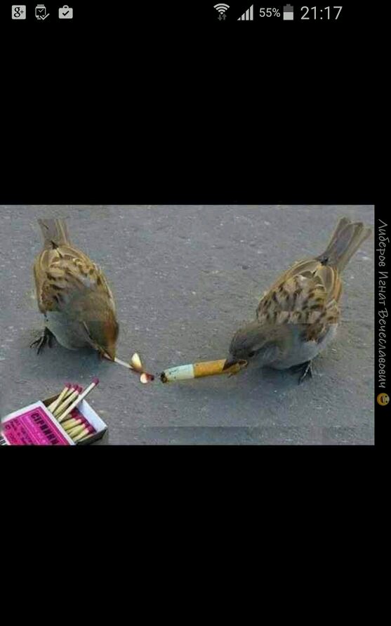 Абсурдный юмор ч.7