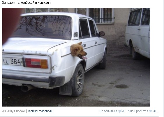 Ужасы и приколы из соцсетей 18+