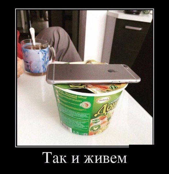 Прикольная фотоподборка