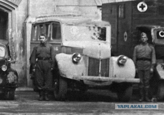 Рабочие лошадки второй мировой