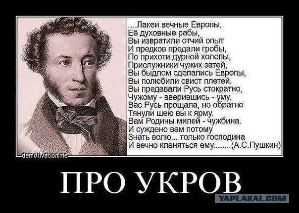 А у вас как с соседями?