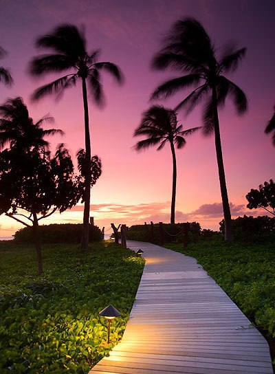 Интересные и веселые картинки