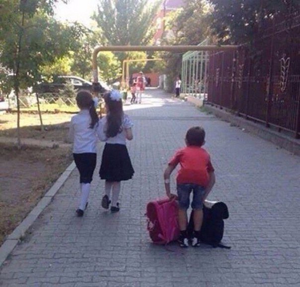 Интересные и веселые картинки