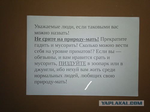 Чувак выкинул мусор, жильцы вернули