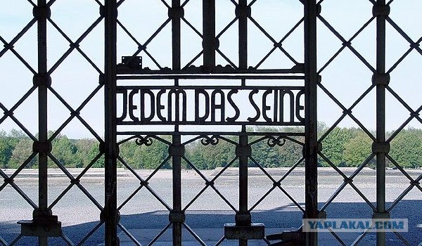 Послание жены Шувалова убогим неудачникам