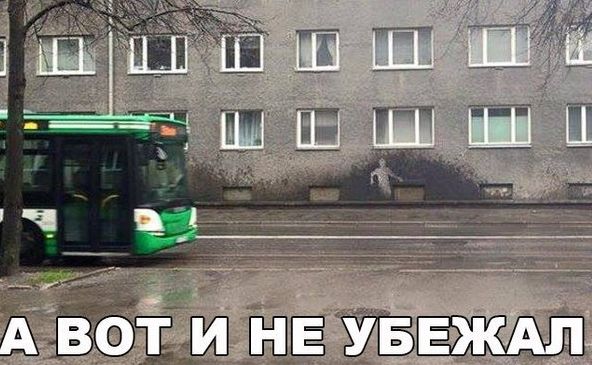 Немного картинок