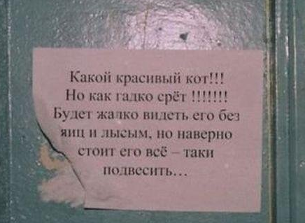 Ужасы и приколы из соцсетей 18+