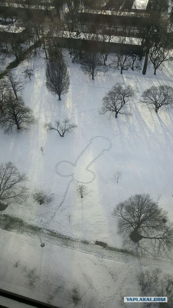 Фото всякое разное