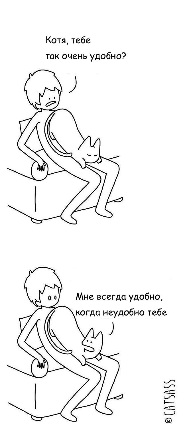 Комиксы, показывающие, что значит жизнь с котом
