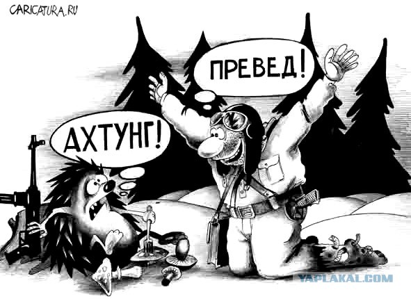 Юмор в картинках