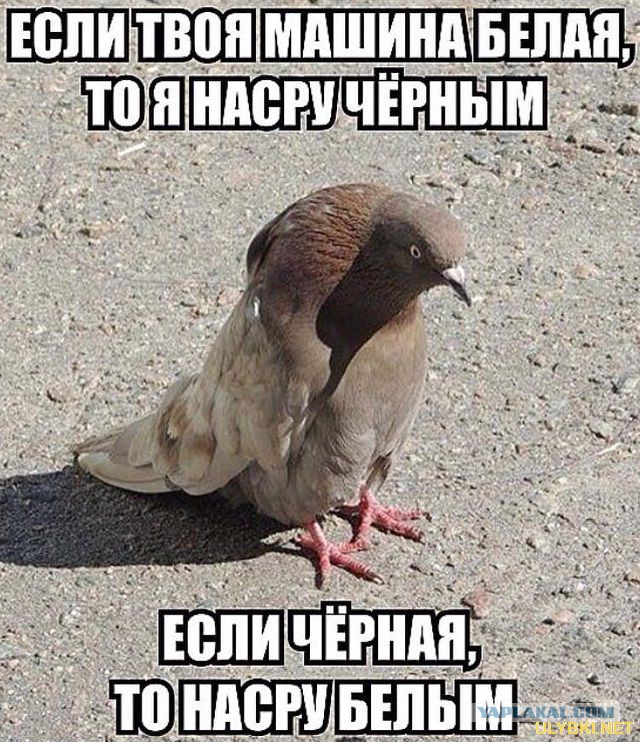 Машину продал