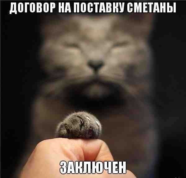 144 картинки для поднятия настроения!