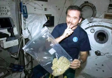 Американский рэпер хочет запустить свой космический корабль, чтобы доказать, что Земля плоская