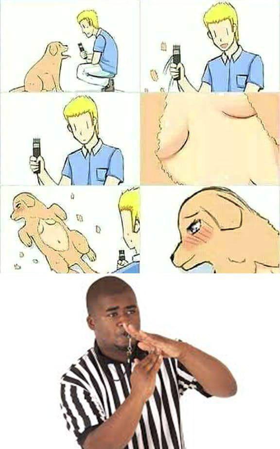 Доколе, я вас спрашиваю?