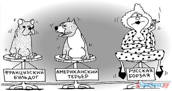 Подборка интересных и веселых картинок