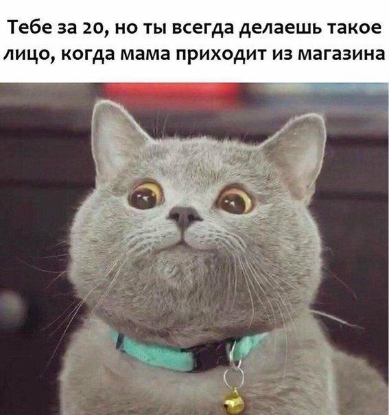 Картинки для настроения в пятницу.