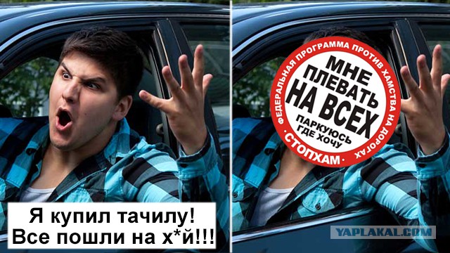 СтопХам - Мисс Ноябрь